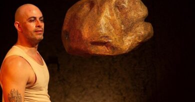 ÚLTIMAS SESSÕES, TEATRO POEIRA (25 E 26/8, 3af e 4af), “Um pássaro não é uma pedra”, com Lucas Oradovschi